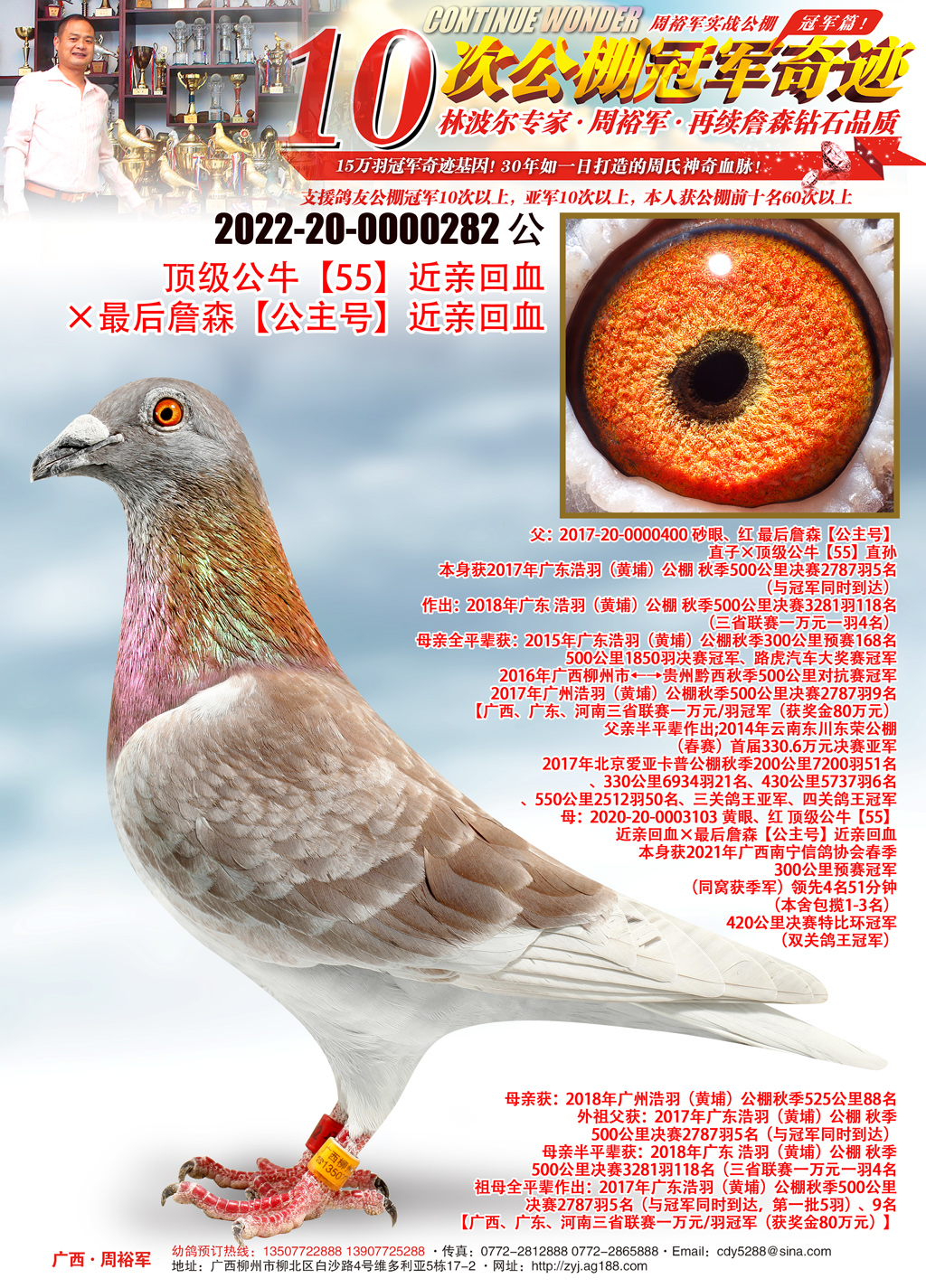 广西周裕军 - 中信网铭鸽展厅