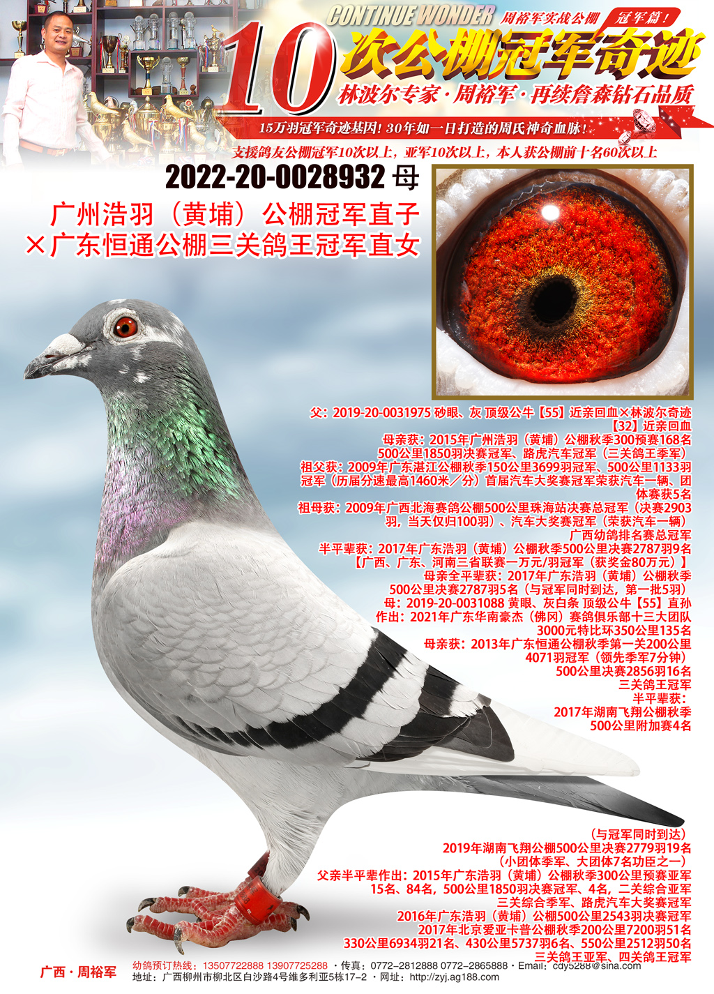 广西周裕军 - 中信网铭鸽展厅