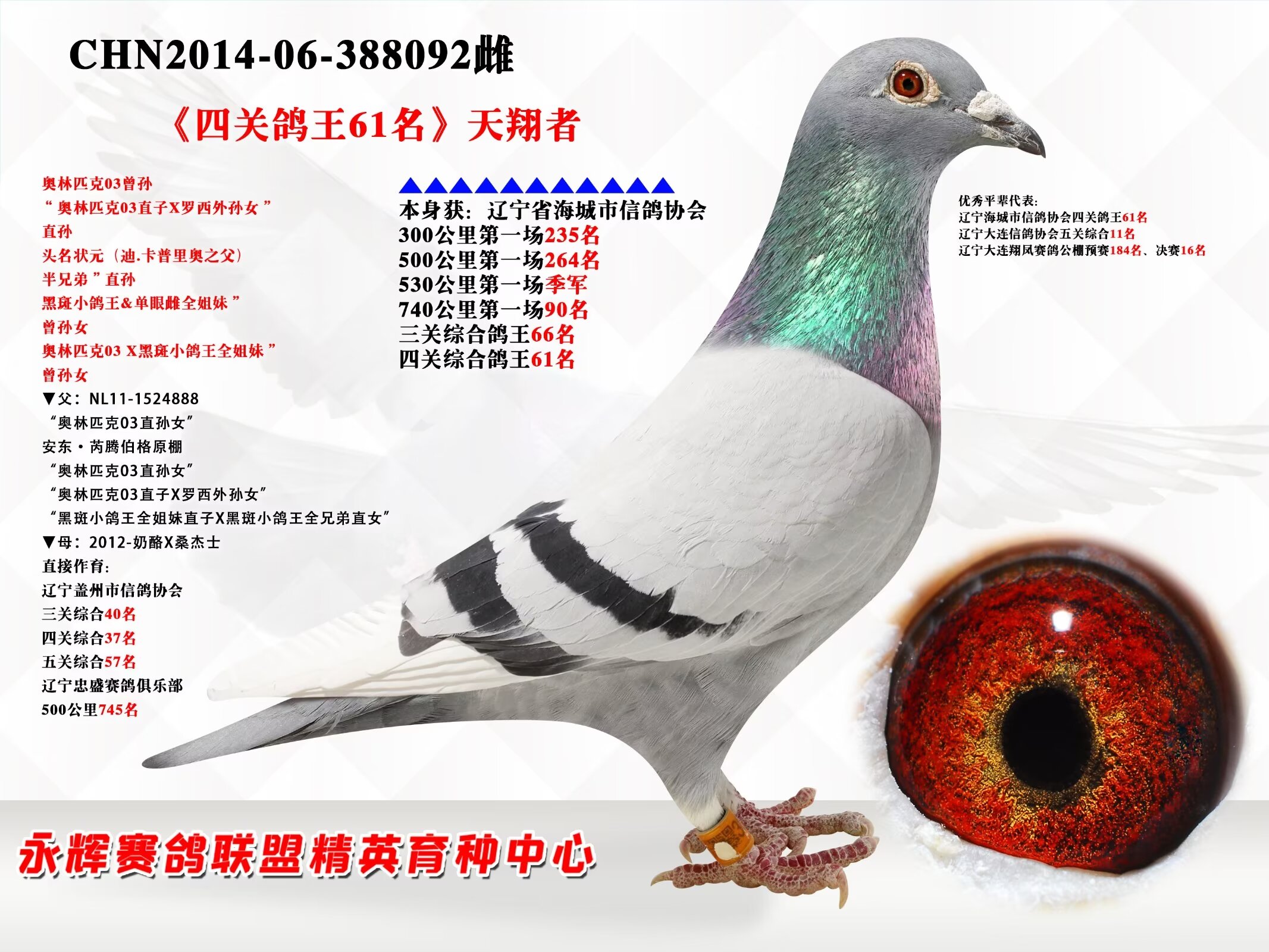 2024-4-5 21:15:00当前时间:延时周期:10分钟加价幅度:200 元血统书