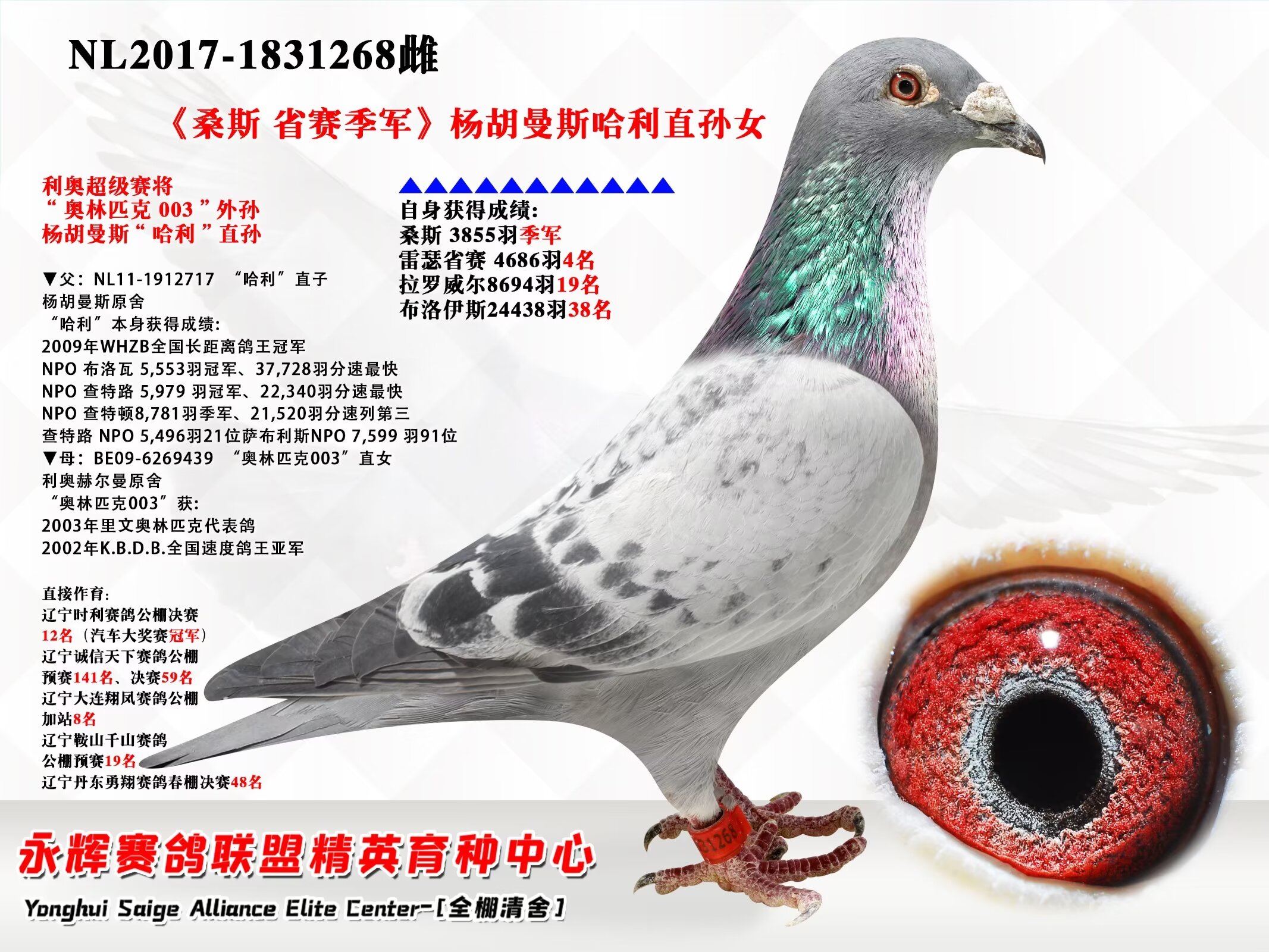 书相关视频商品信息商品编号:1464755足环号:nl17-1831268开拍时间