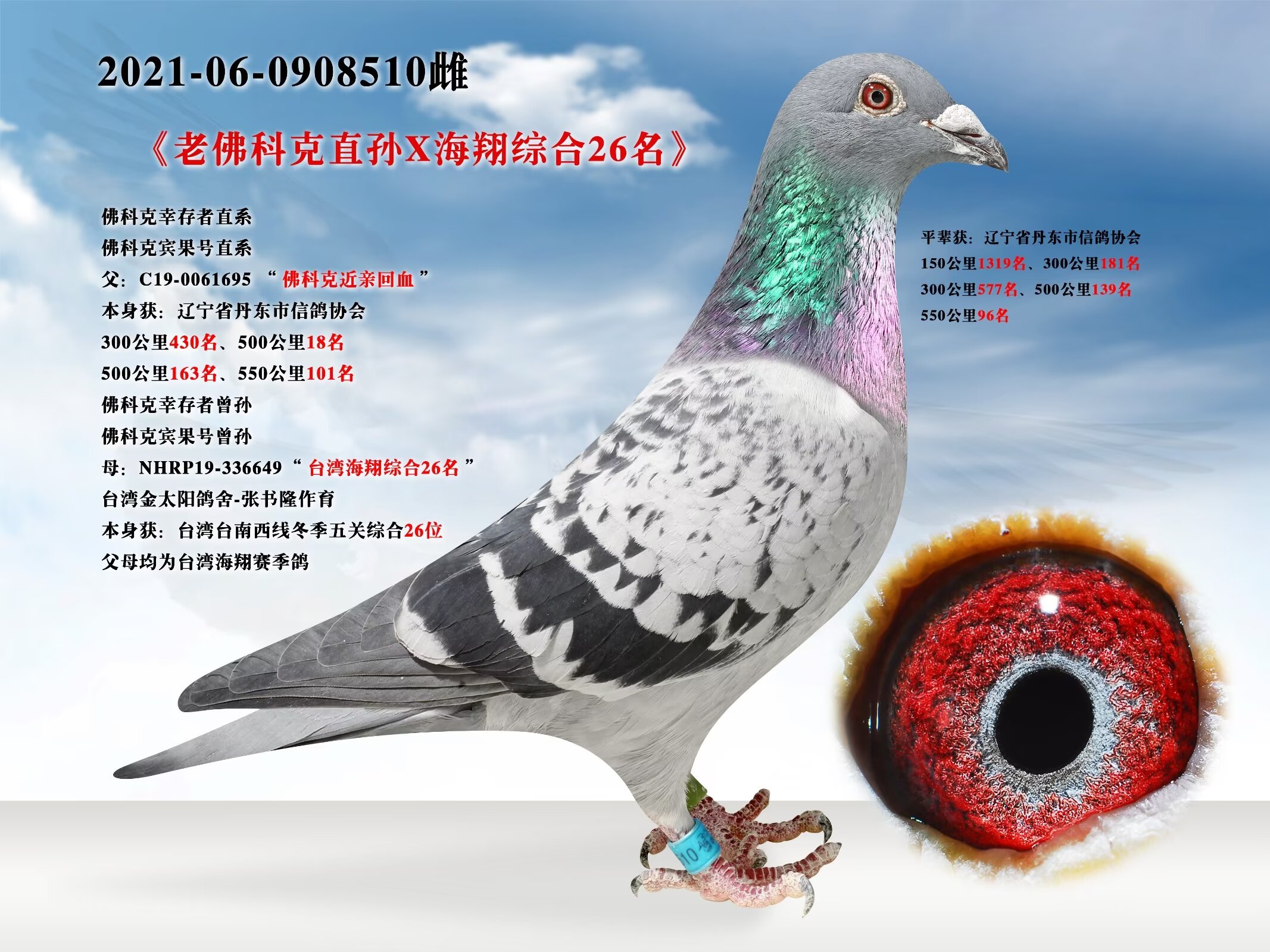 1465228足环号:2021-06-0908510开拍时间:2024-3-29 8:00:00结拍时间