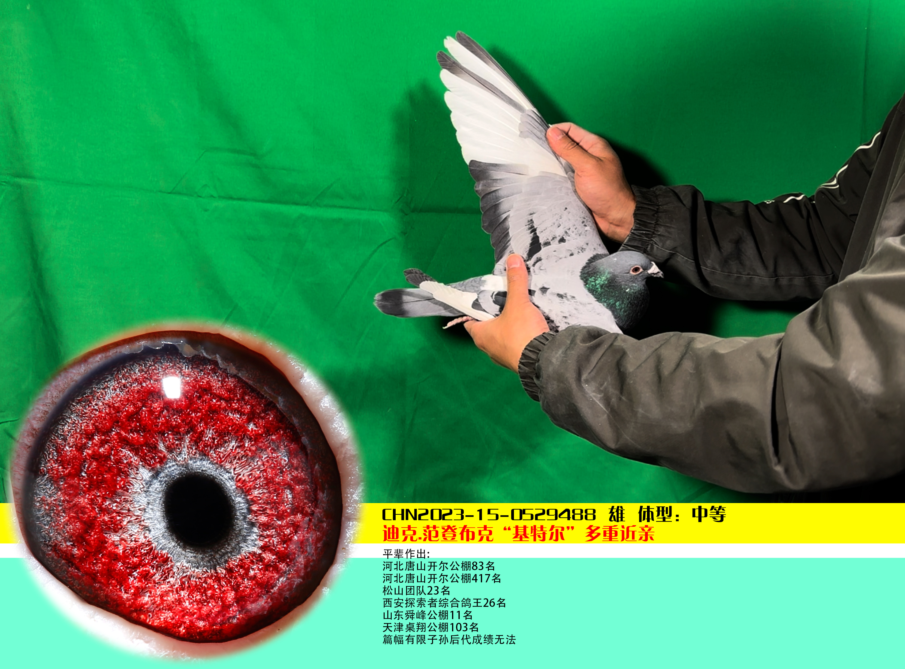 冠道传媒 - 中信网铭鸽展厅