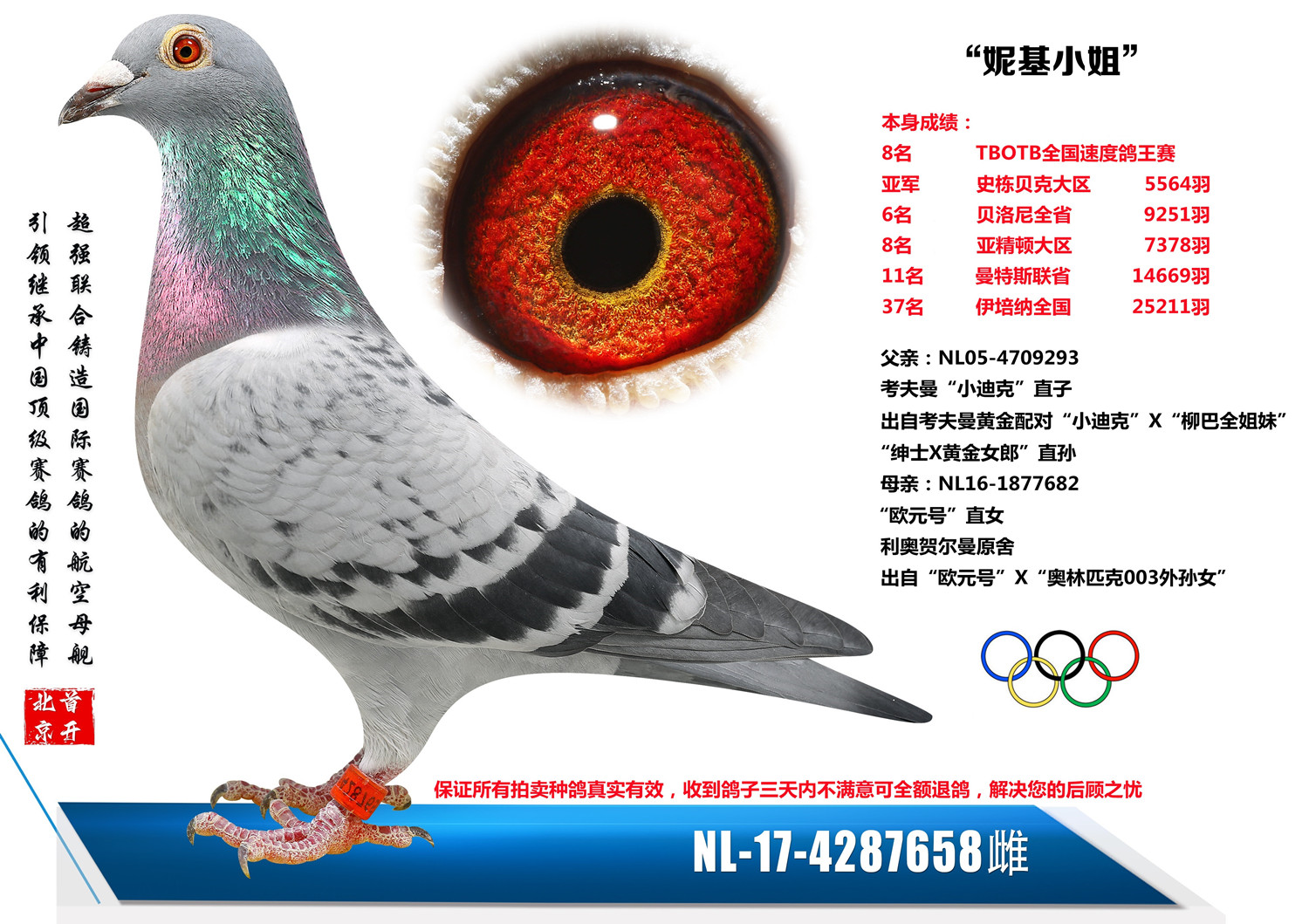 北京首开鸽业 - 中信网铭鸽展厅