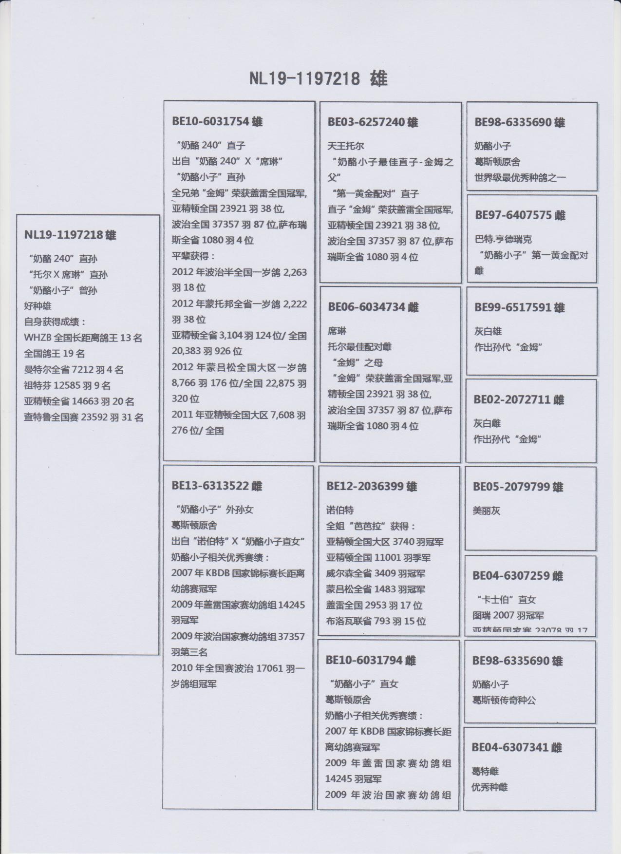 北京王永贵名鸽展厅图片