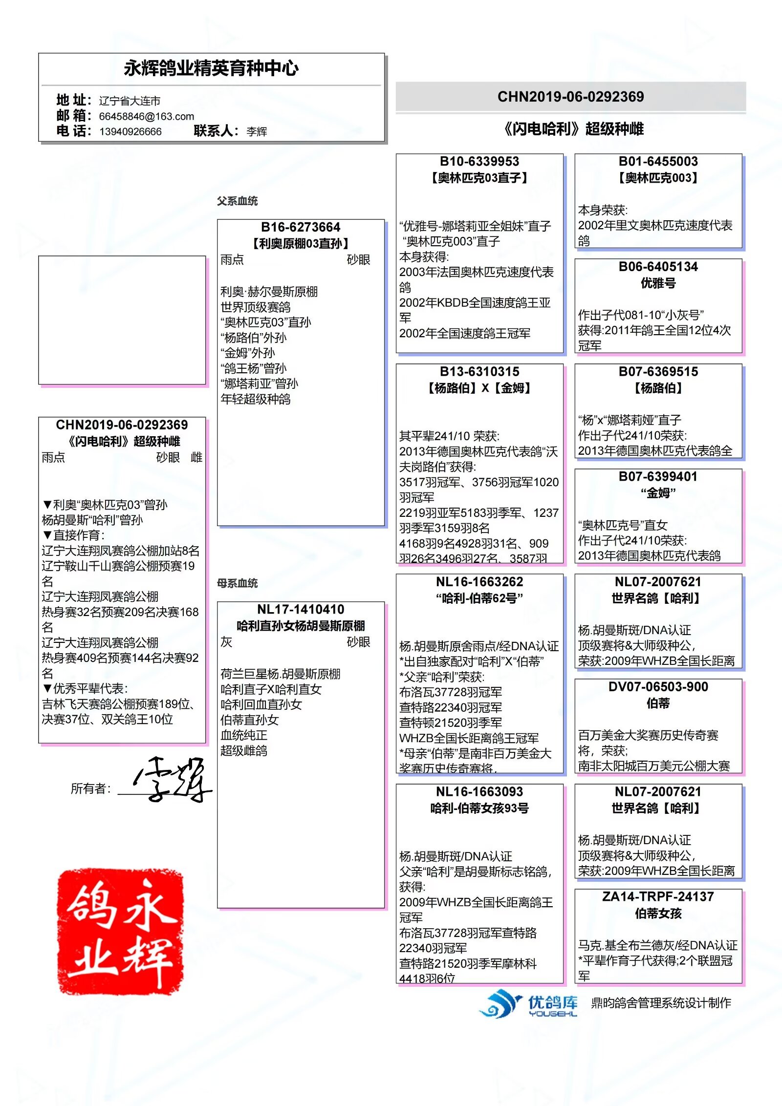 信鸽血统证书图片