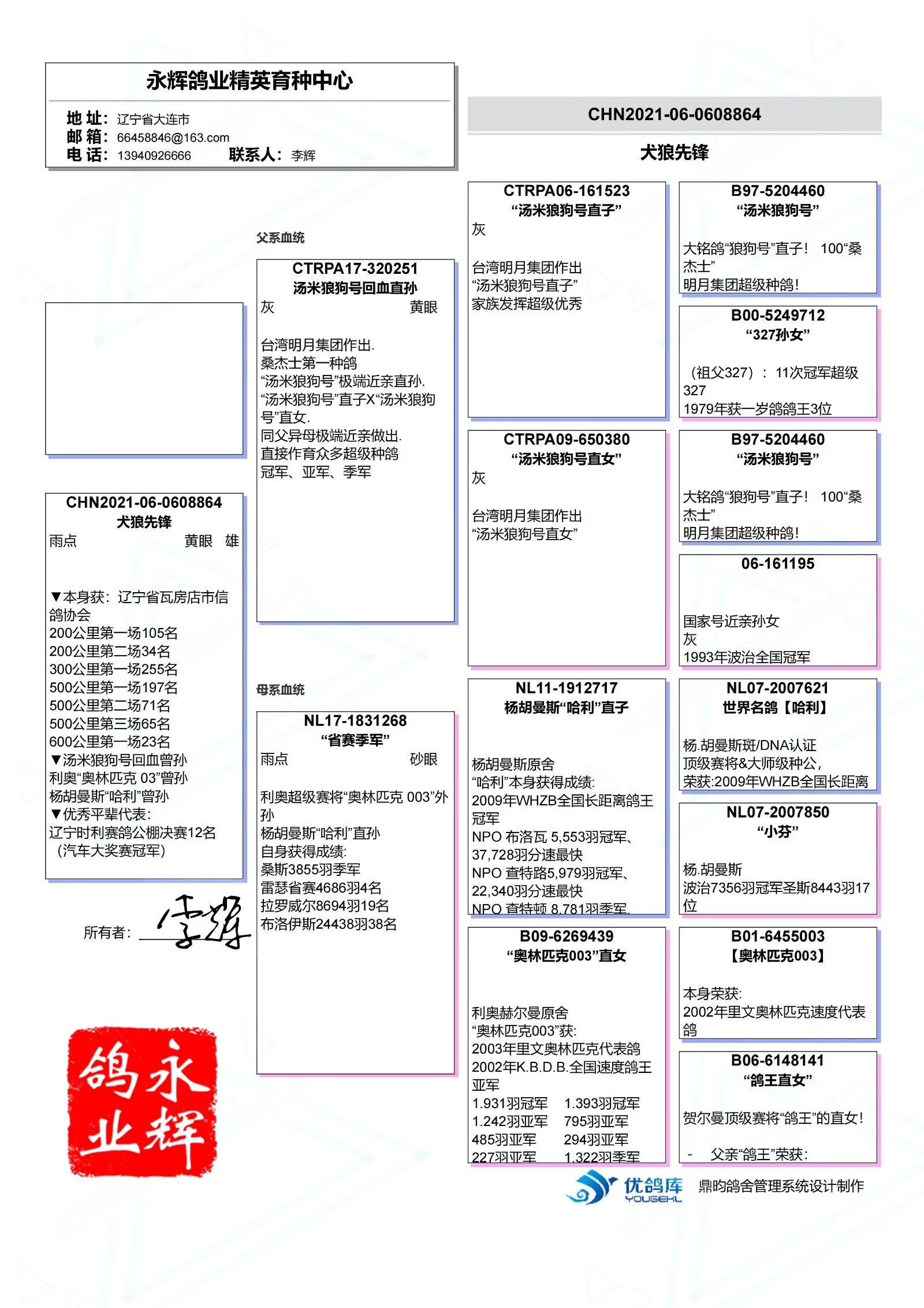 信鸽血统证书图片