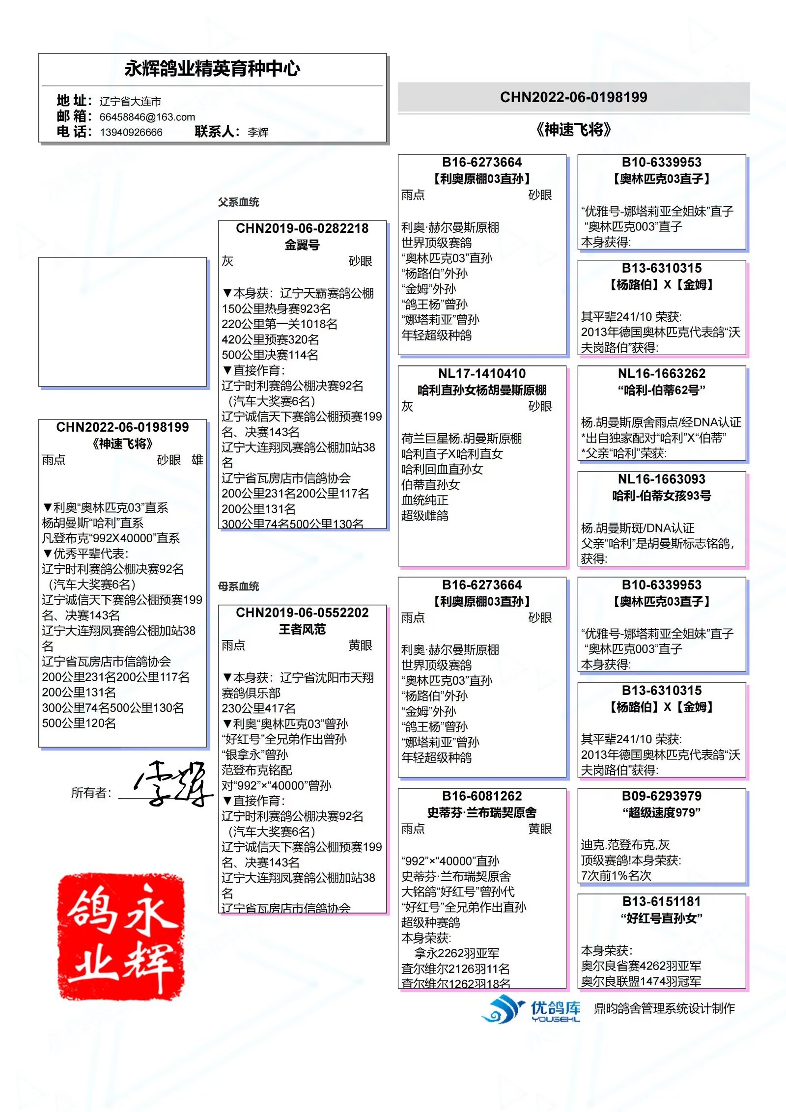 信鸽血统证书图片