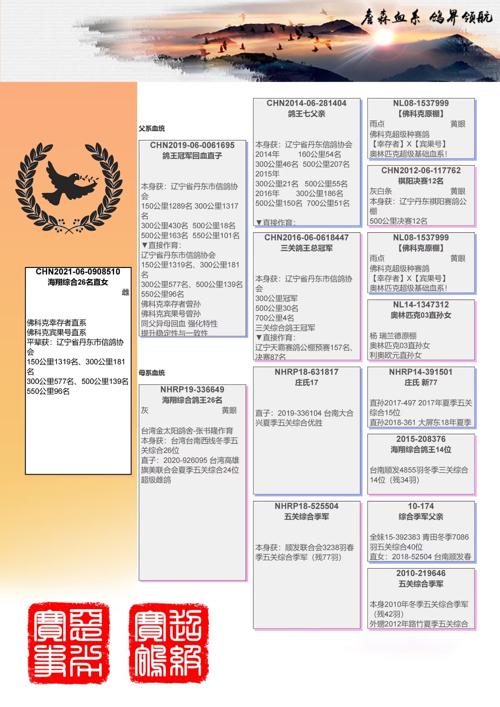辽宁新纪元鸽业 - 中信网铭鸽展厅