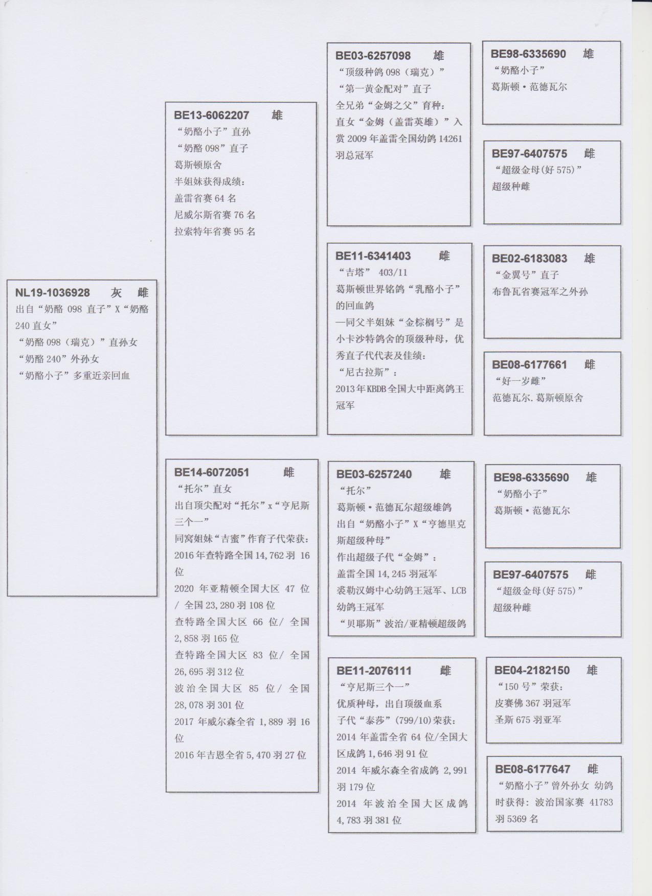 北京首开鸽业 - 中信网铭鸽展厅