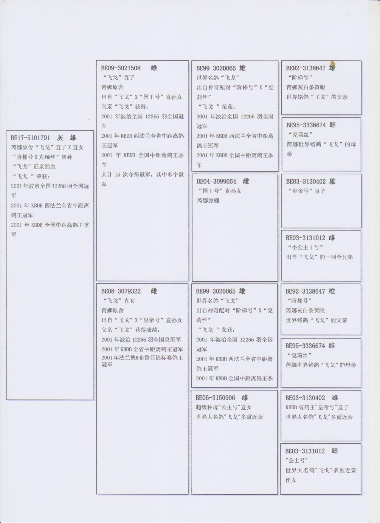 北京首开鸽业 - 中信网铭鸽展厅