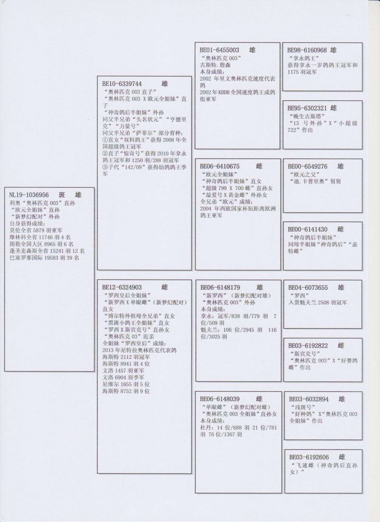 北京首开鸽业 - 中信网铭鸽展厅