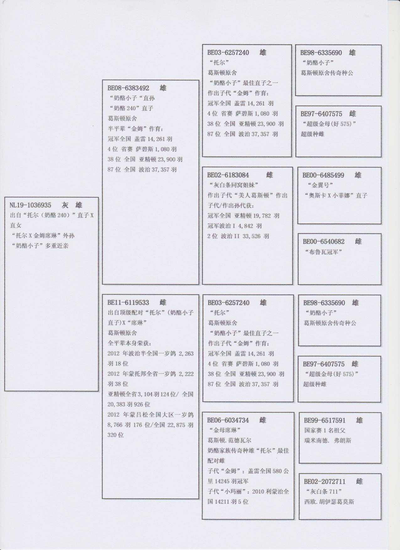 北京首开鸽业 - 中信网铭鸽展厅