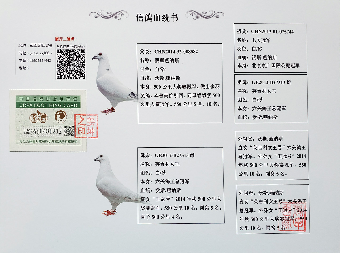 冠军团队鸽舍 - 中信网铭鸽展厅