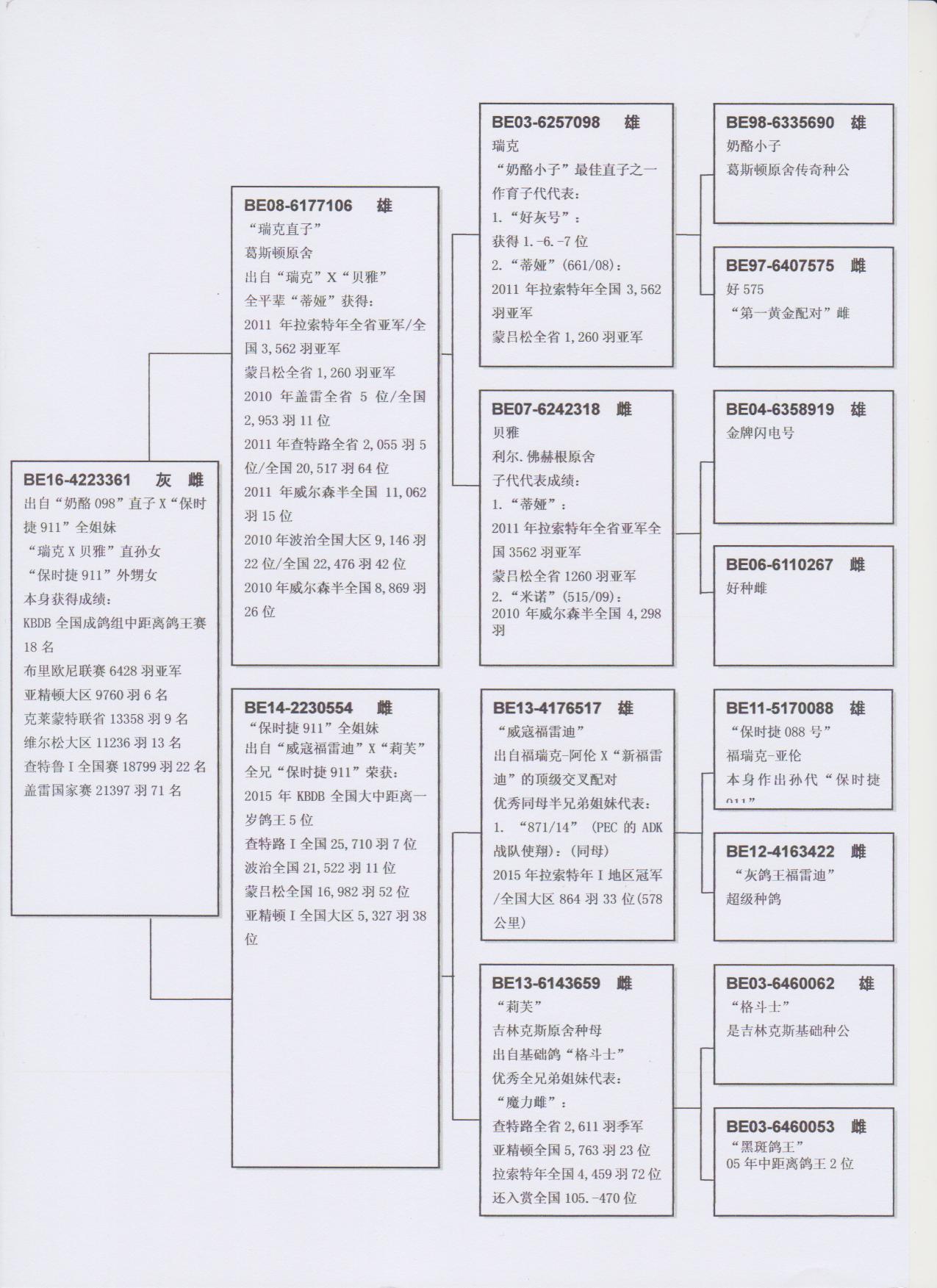 北京首开鸽业 - 中信网铭鸽展厅