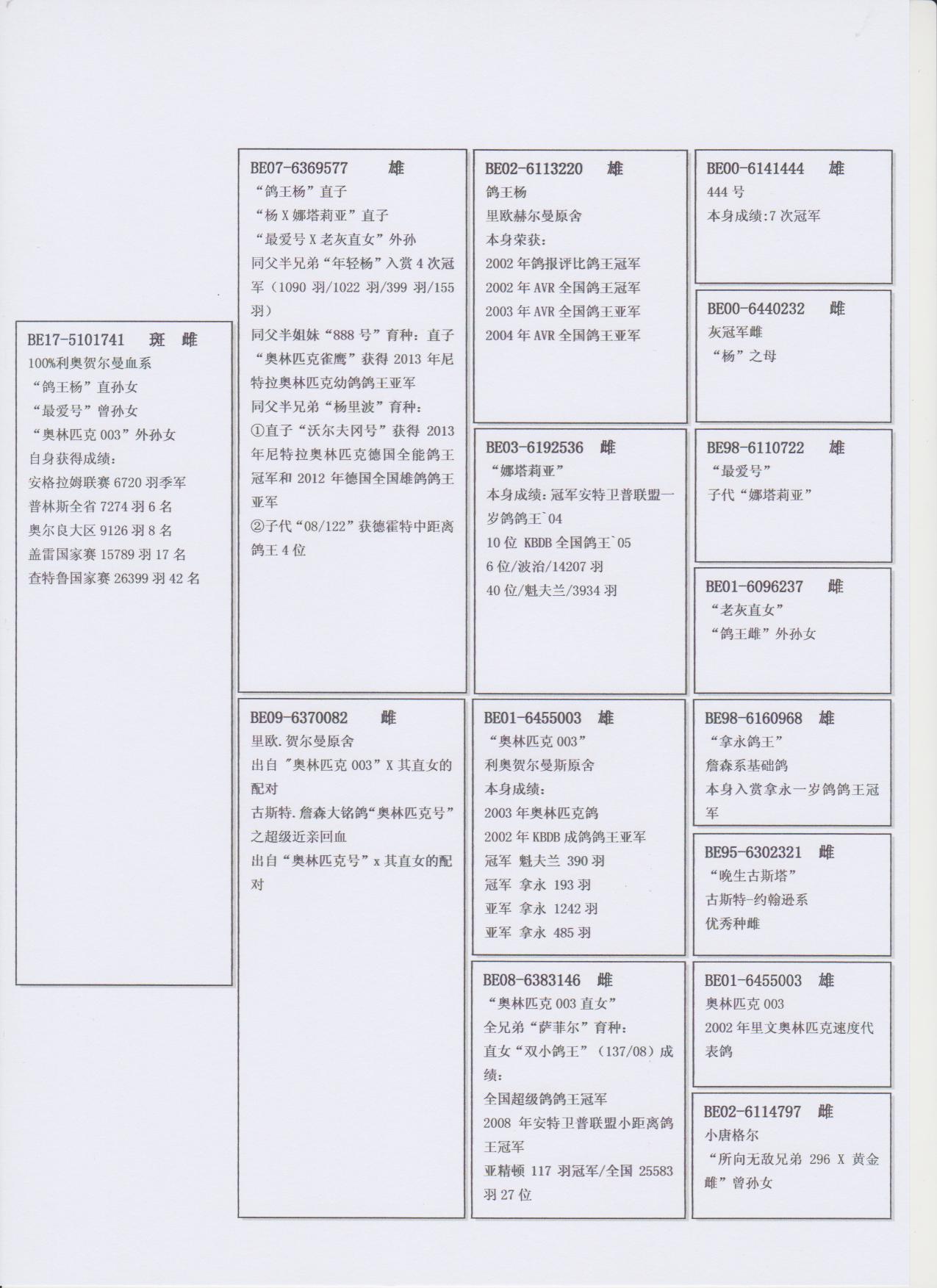 北京首开鸽业 - 中信网铭鸽展厅