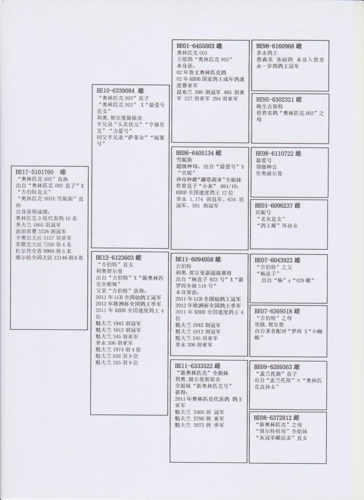 北京首开鸽业 - 中信网铭鸽展厅