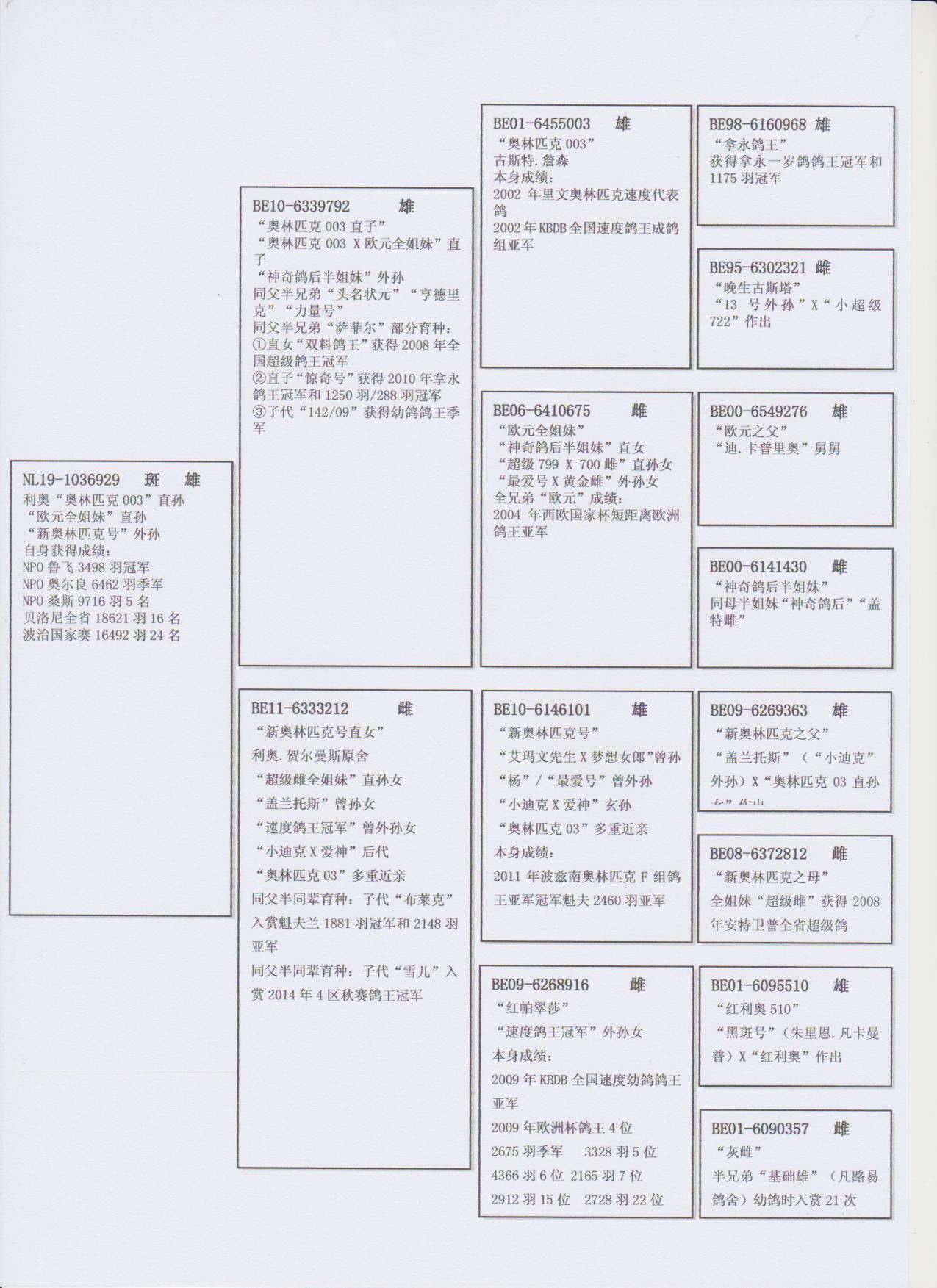 北京首开鸽业 - 中信网铭鸽展厅