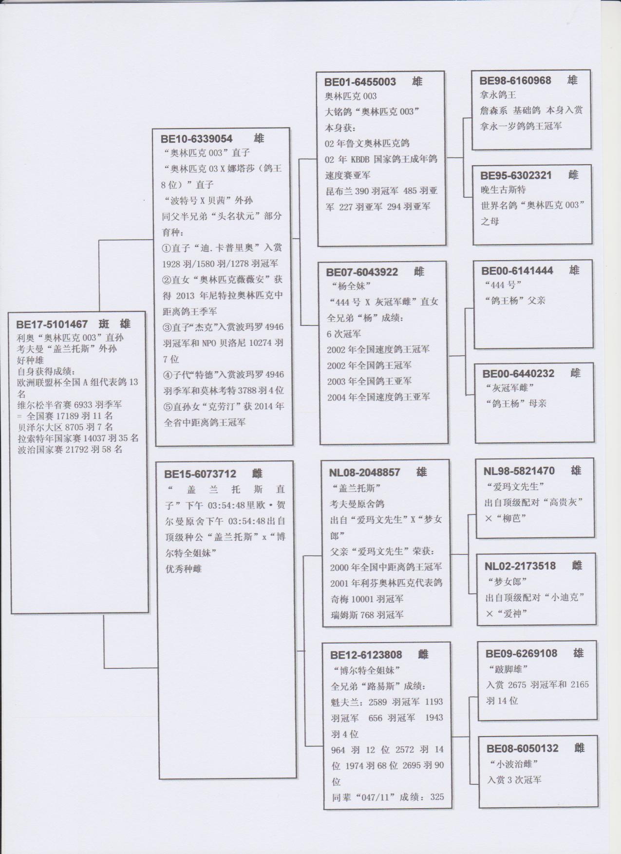 北京首开鸽业 - 中信网铭鸽展厅
