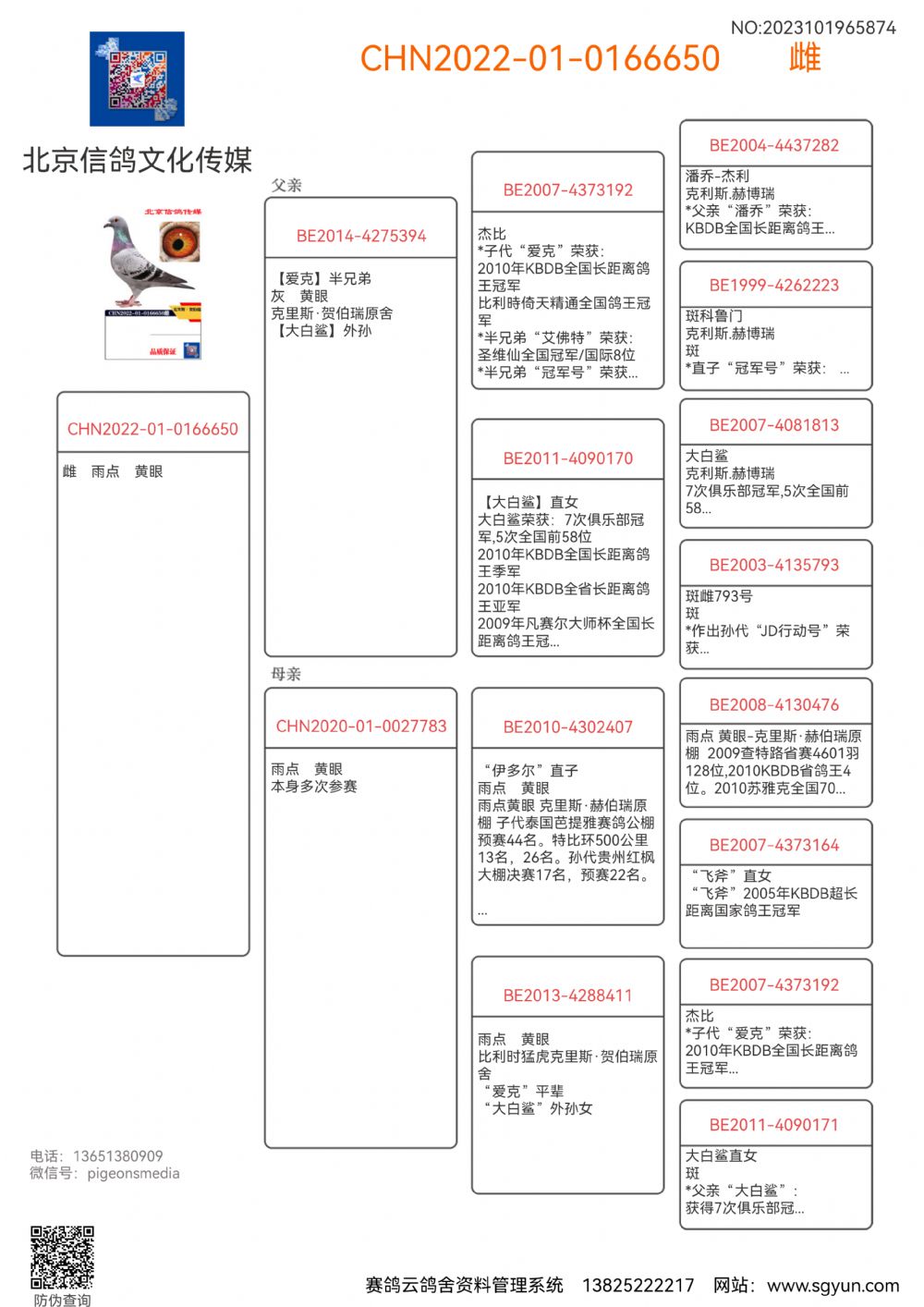 北京信鸽文化传媒 - 中信网铭鸽展厅