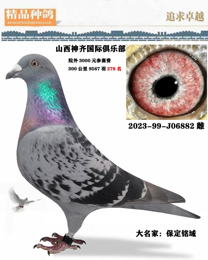 汇金信鸽传媒 - 中信网铭鸽展厅