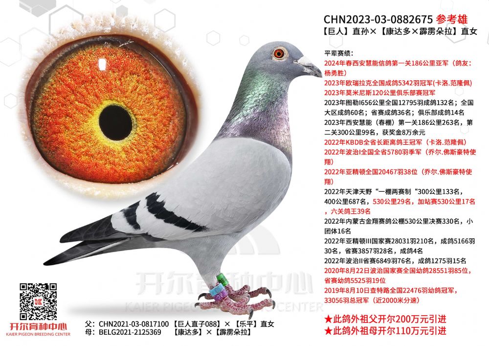 开尔鸽业 - 中信网铭鸽展厅