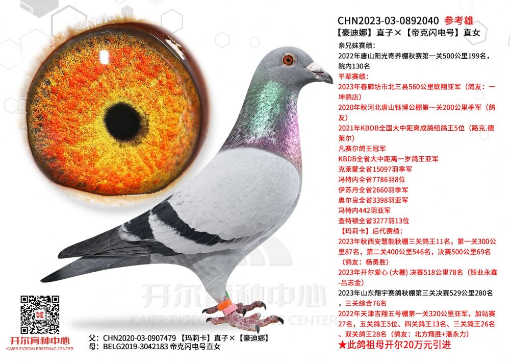 开尔鸽业 - 中信网铭鸽展厅