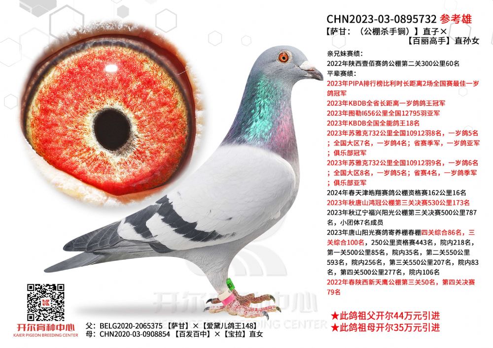 开尔鸽业 - 中信网铭鸽展厅