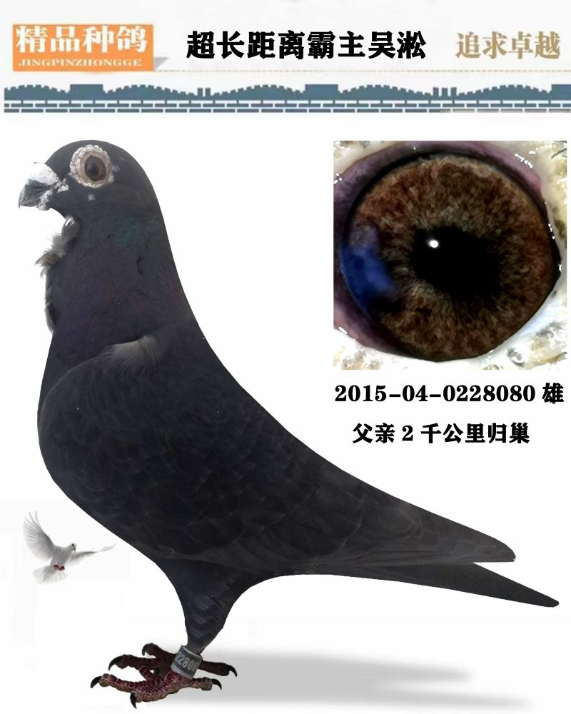 汇金信鸽传媒 - 中信网铭鸽展厅