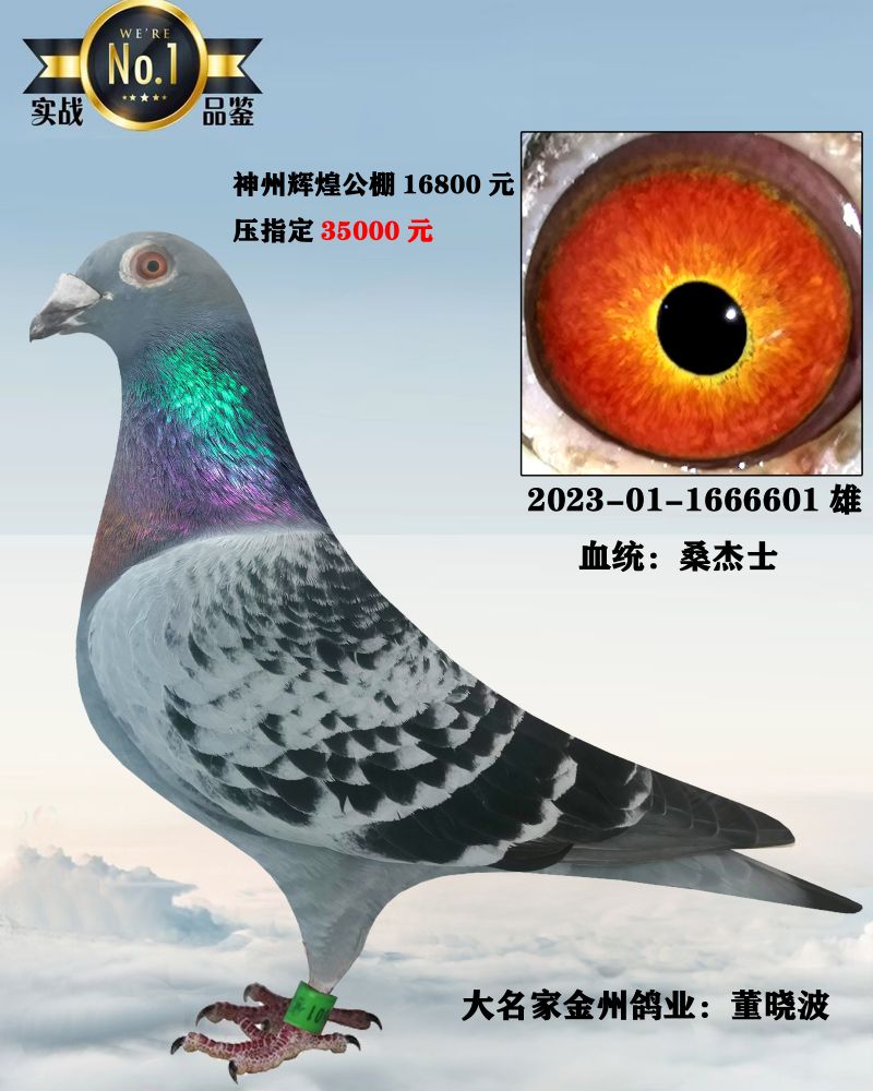 汇金信鸽传媒 - 中信网铭鸽展厅