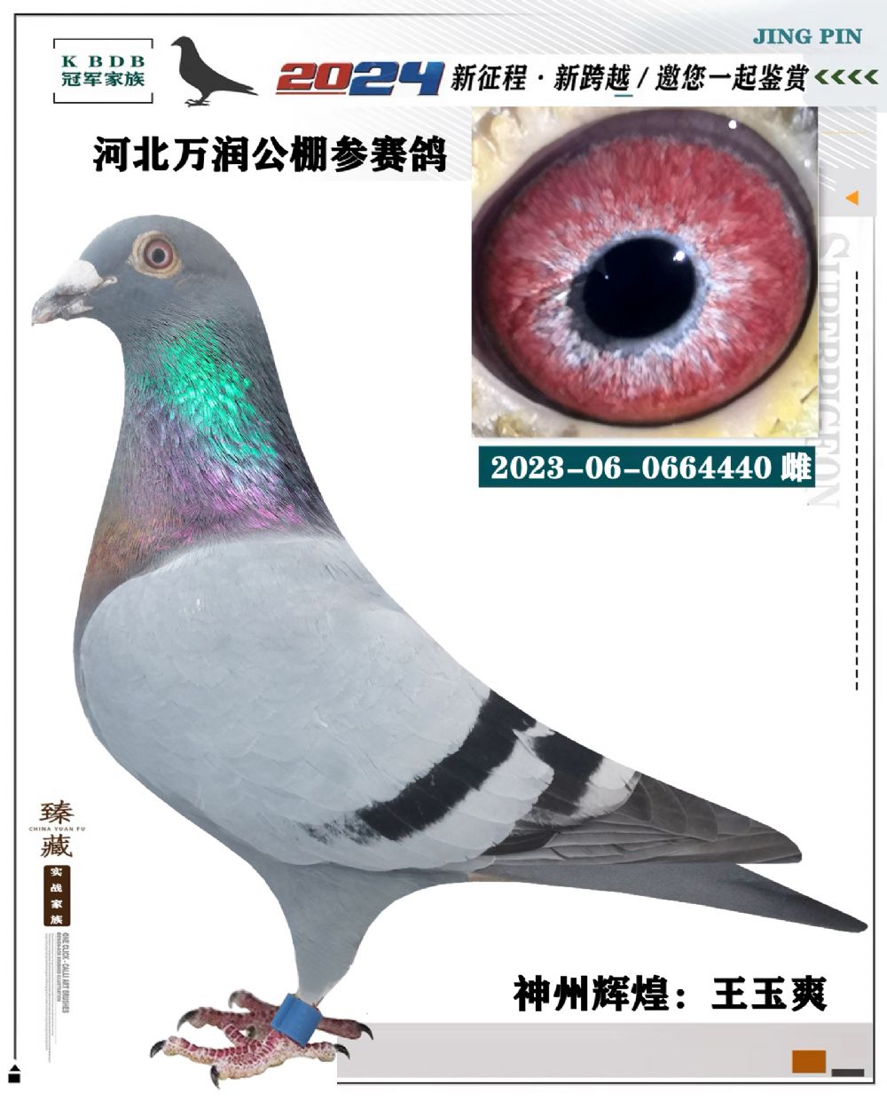 汇金信鸽传媒 - 中信网铭鸽展厅