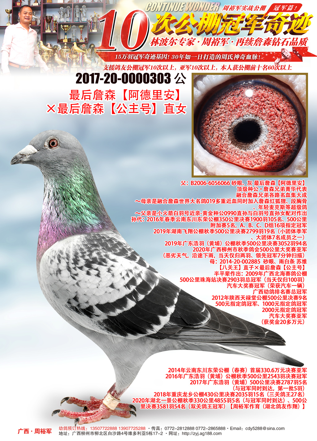 广西周裕军 - 中信网铭鸽展厅