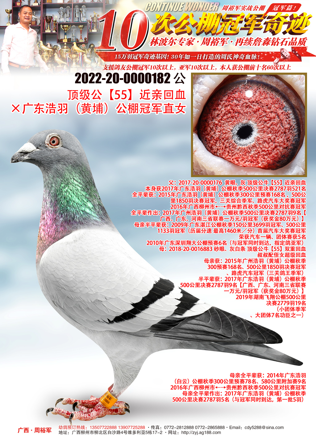 广西周裕军 - 中信网铭鸽展厅
