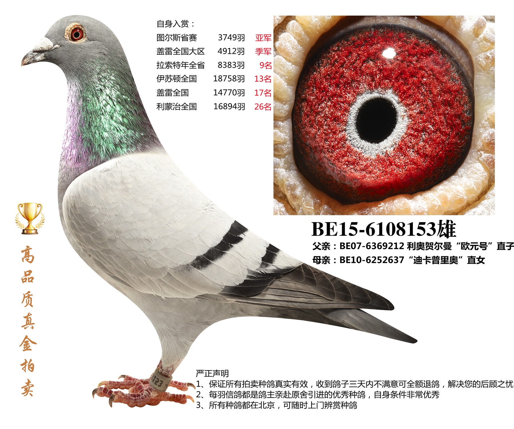 北京首开鸽业