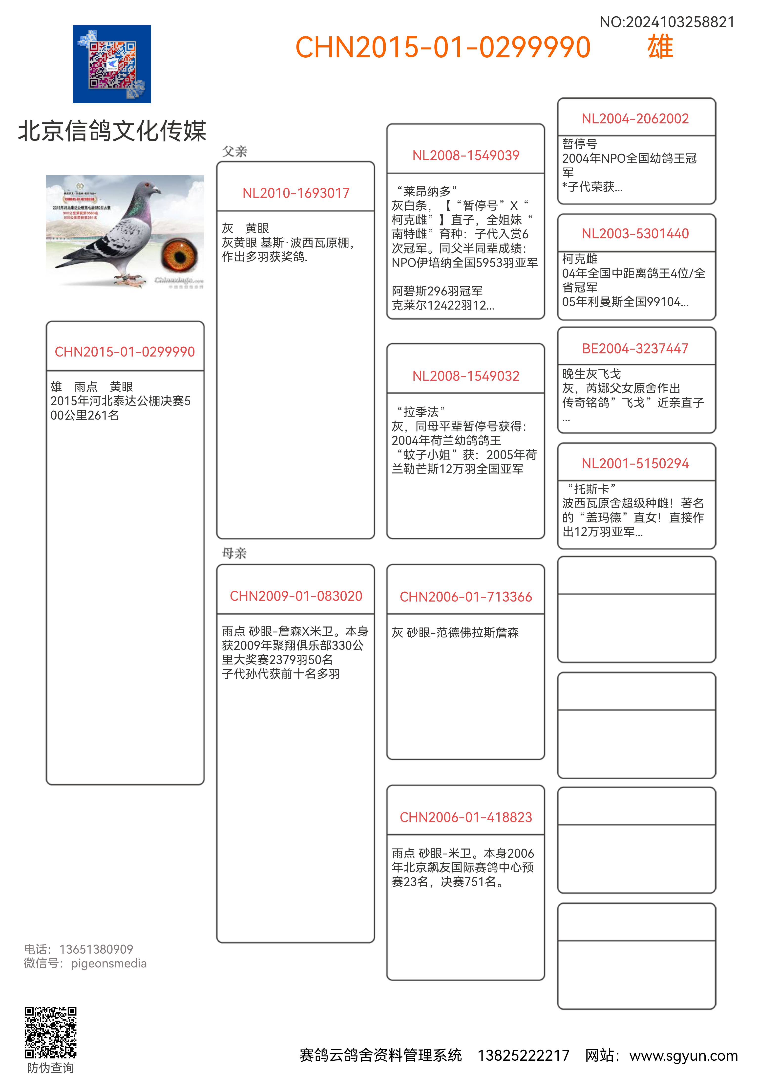 北京信鸽文化传媒 - 中信网铭鸽展厅