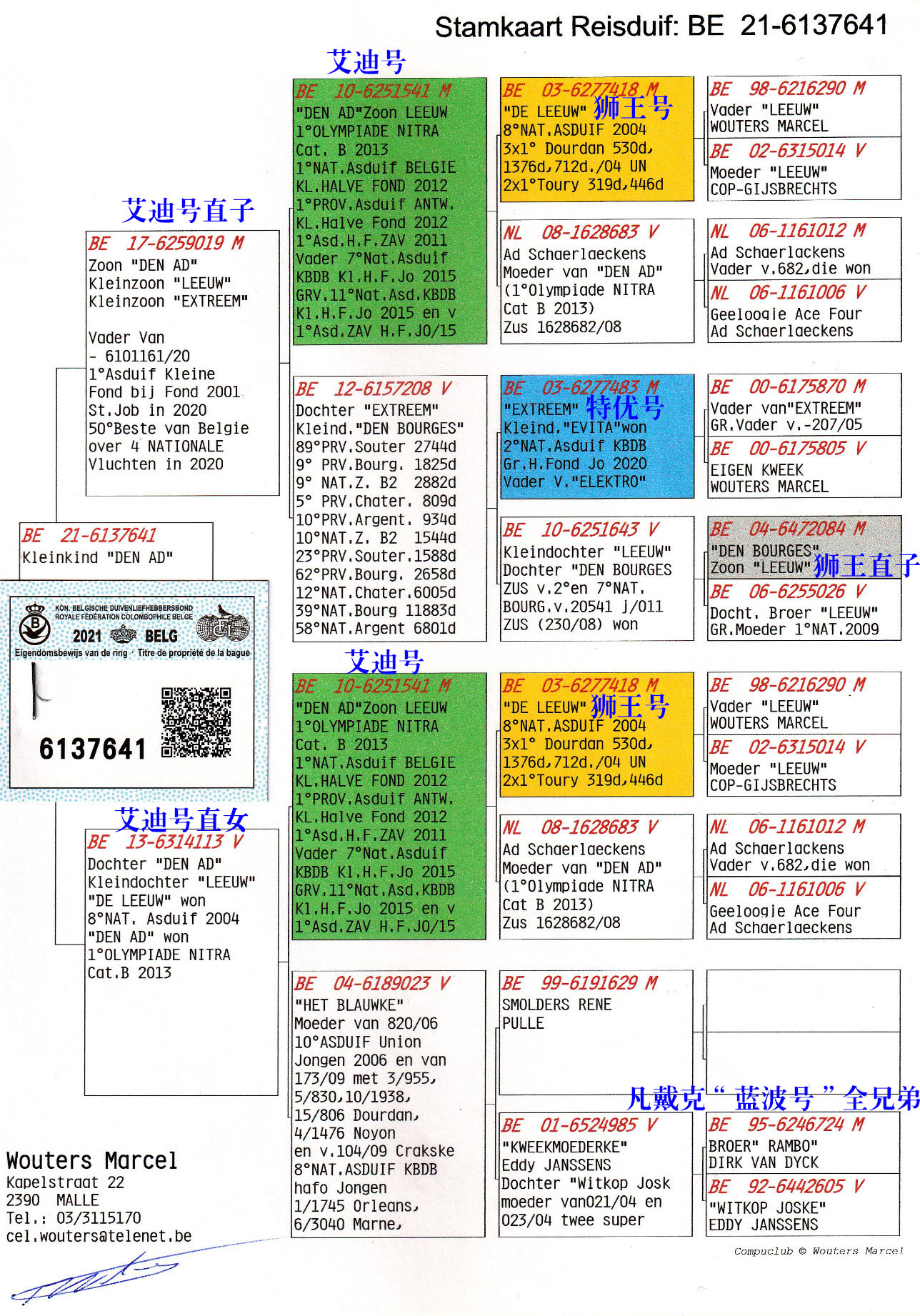 欧联国际赛鸽 - 中信网铭鸽展厅