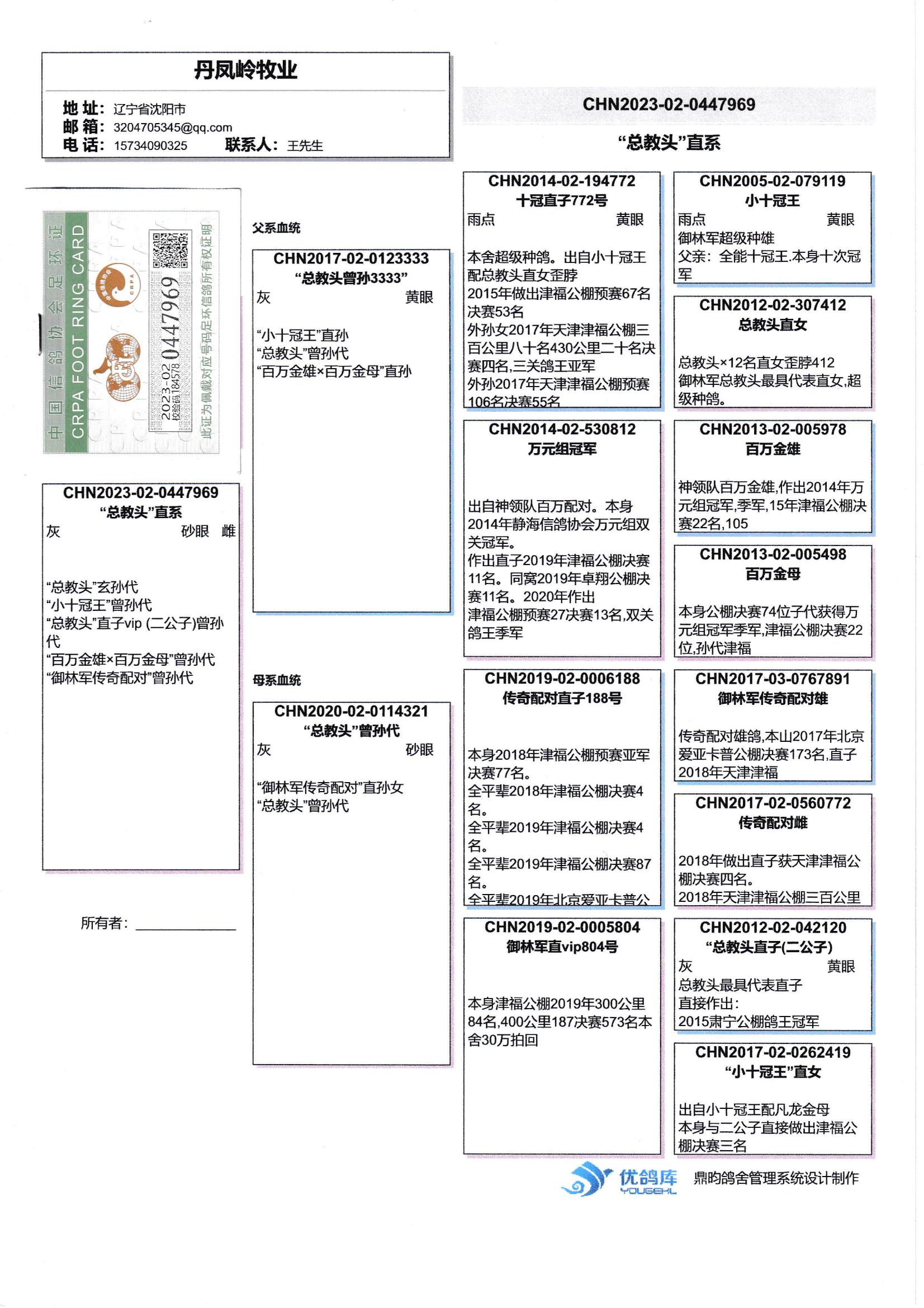 鸽子的年龄图解 识别图片