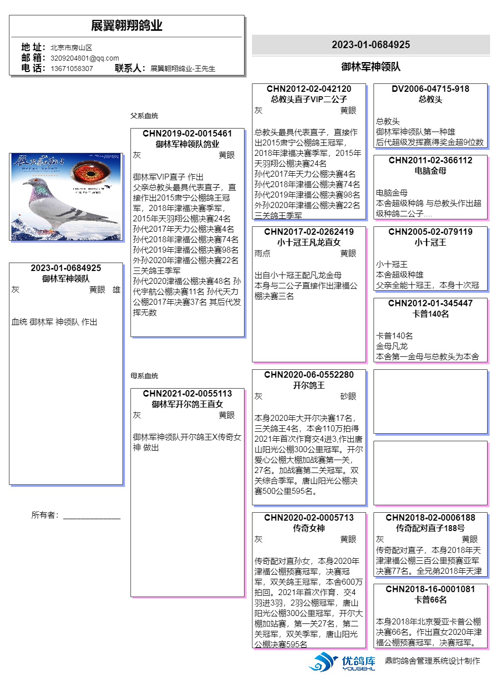 信鸽在线拍卖平台 - 中国信鸽信息网
