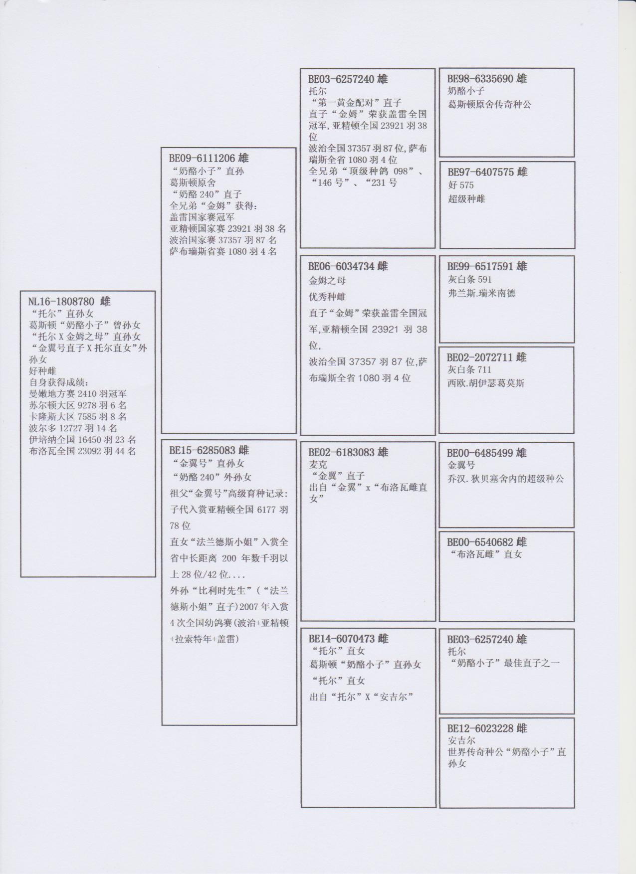 北京首开鸽业 - 中信网铭鸽展厅