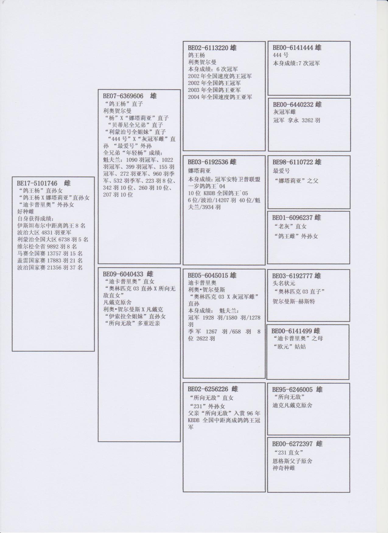 北京首开鸽业 - 中信网铭鸽展厅