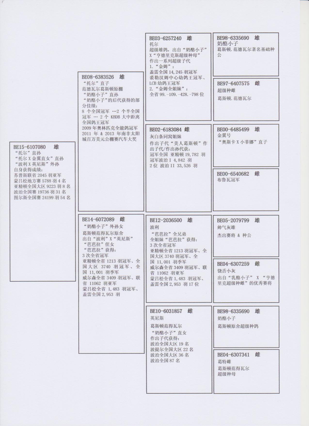 北京首开鸽业 - 中信网铭鸽展厅