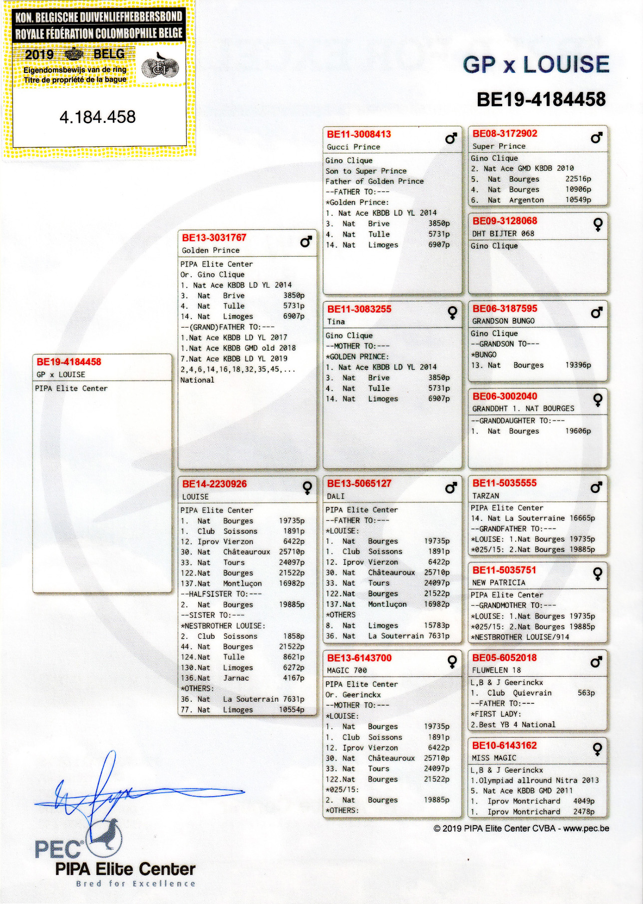 欧联国际赛鸽 - 中信网铭鸽展厅