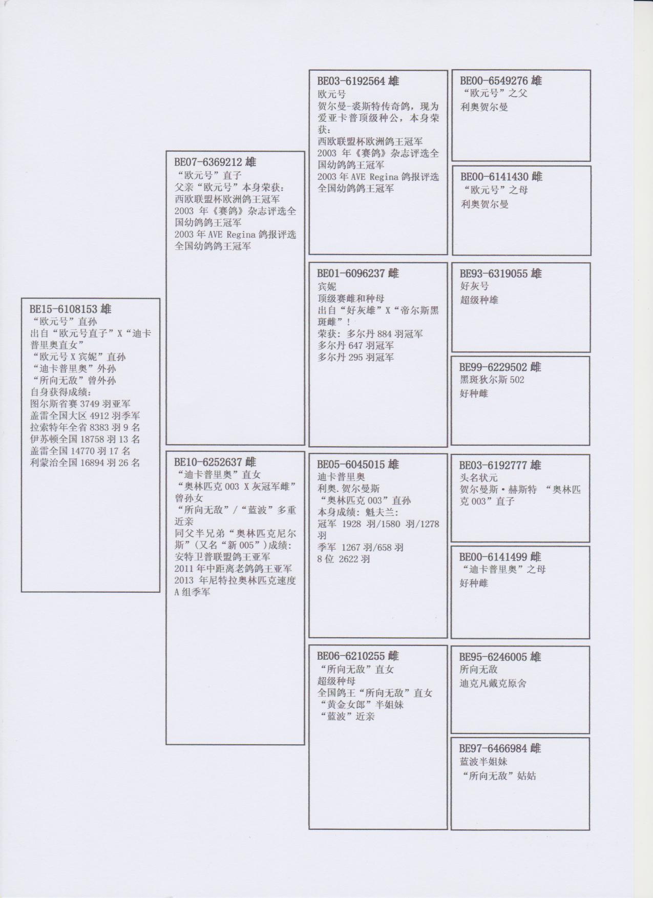 北京首开鸽业 - 中信网铭鸽展厅