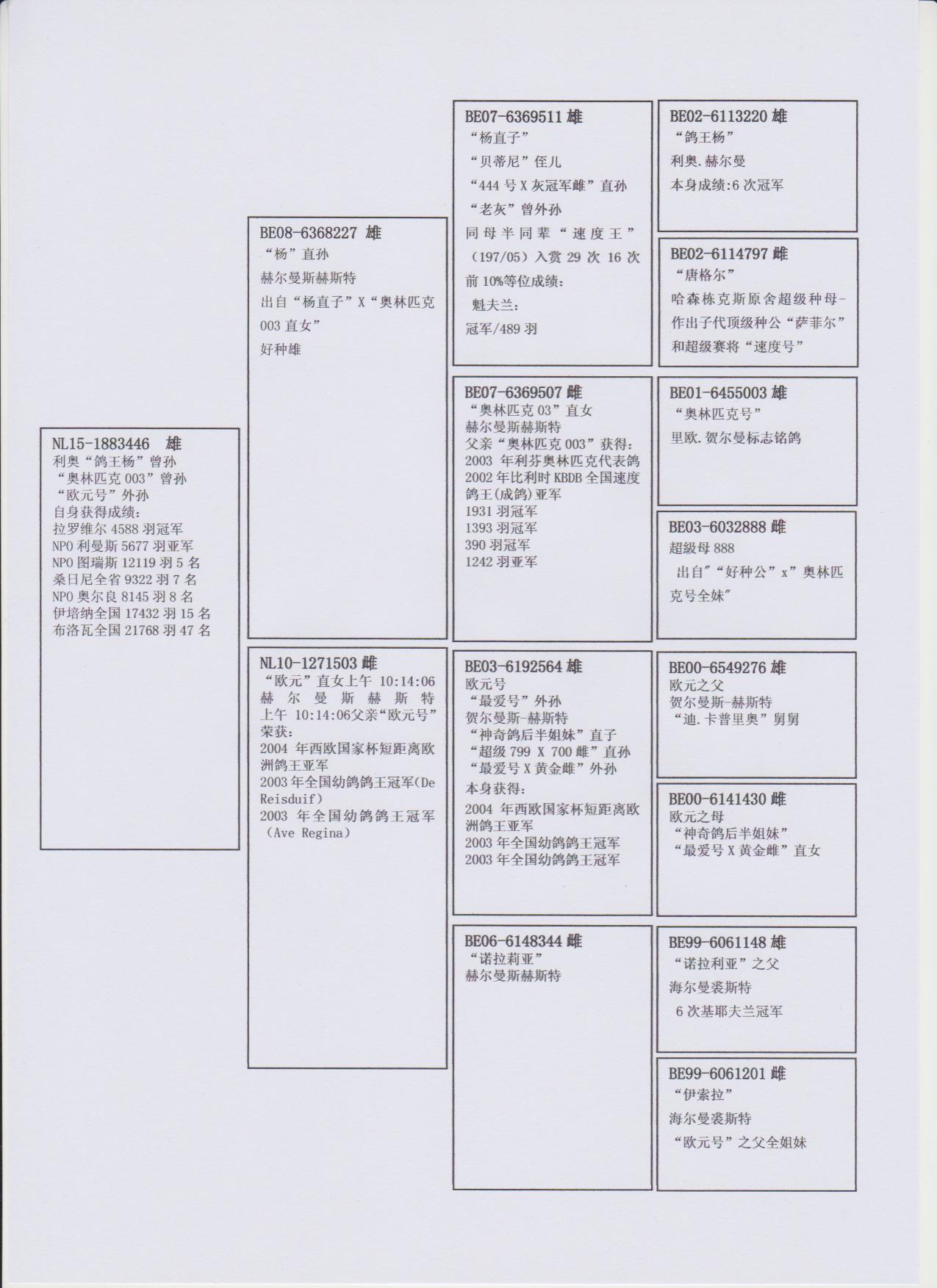 北京龙翔轩铭鸽展厅图片