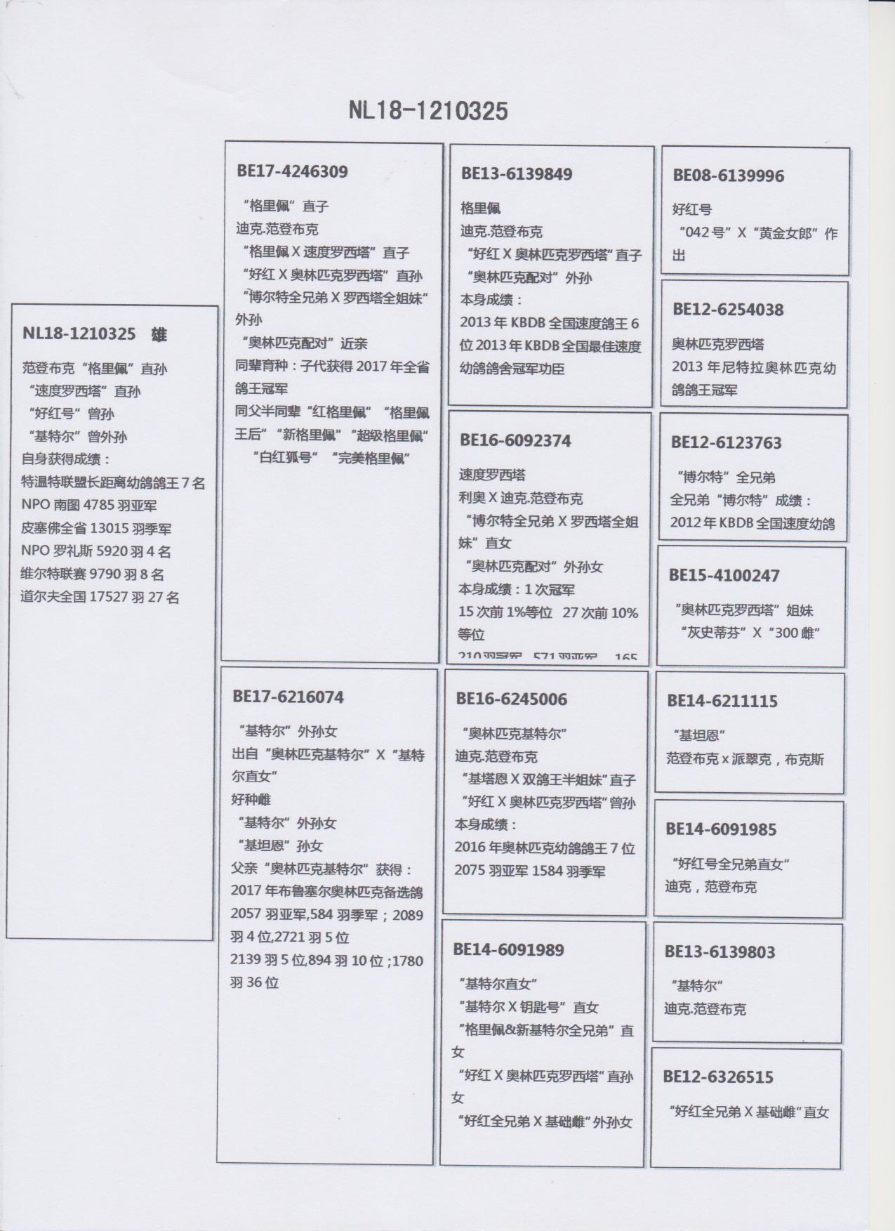 北京王永贵名鸽展厅图片