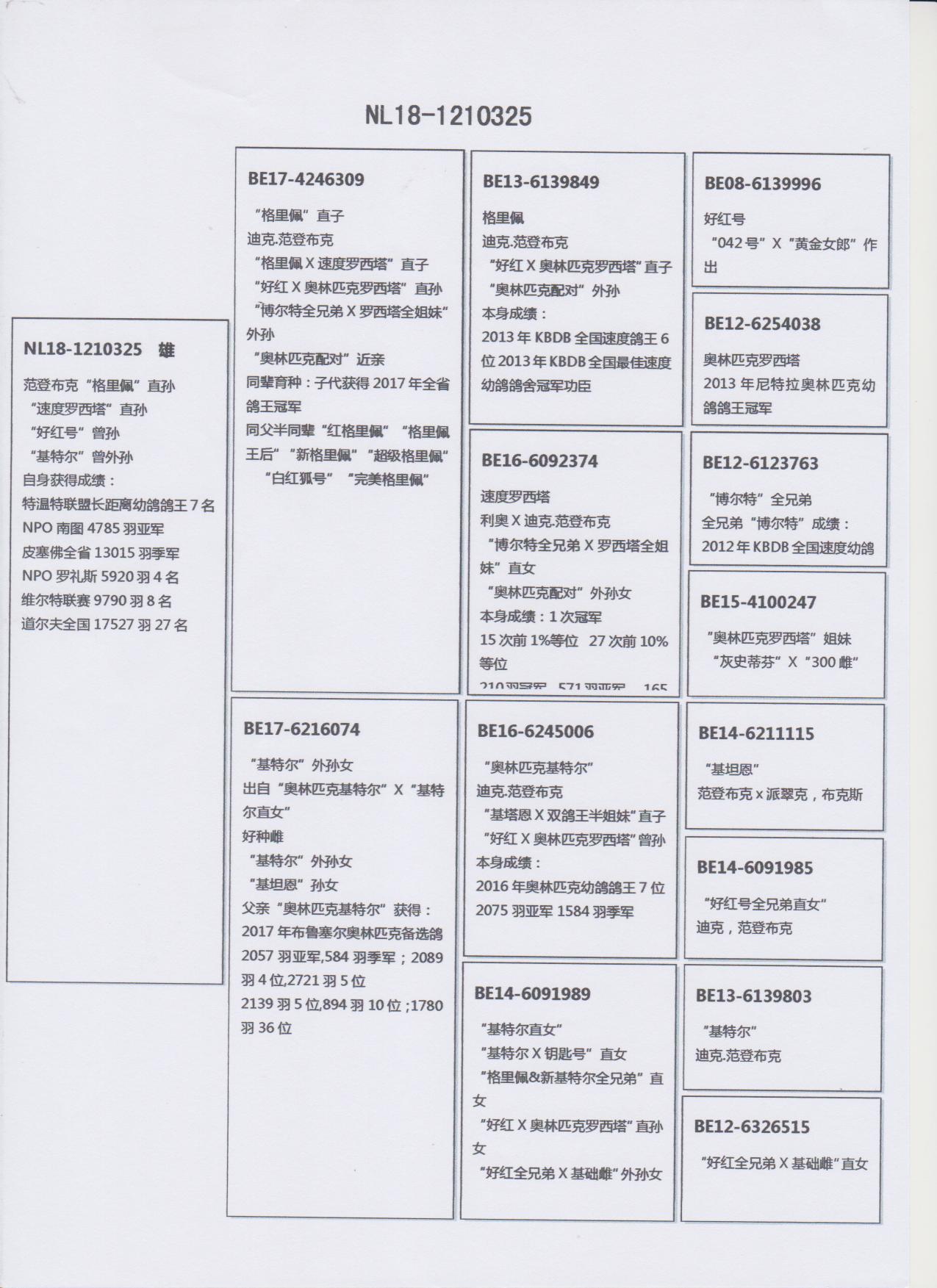 北京首开鸽业 - 中信网铭鸽展厅