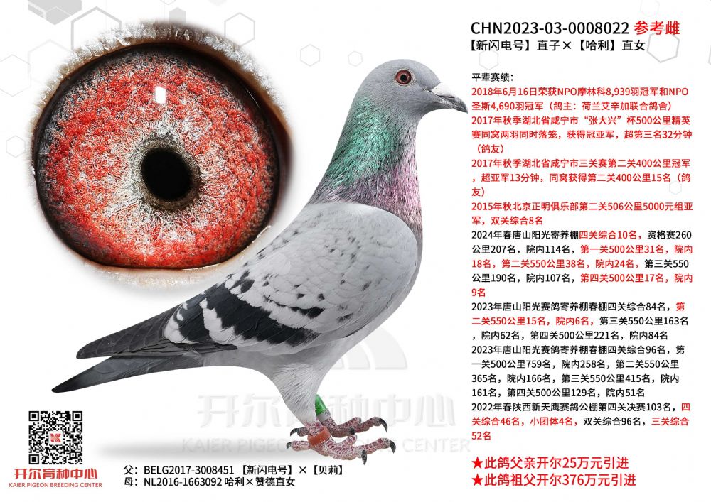 开尔鸽业 - 中信网铭鸽展厅