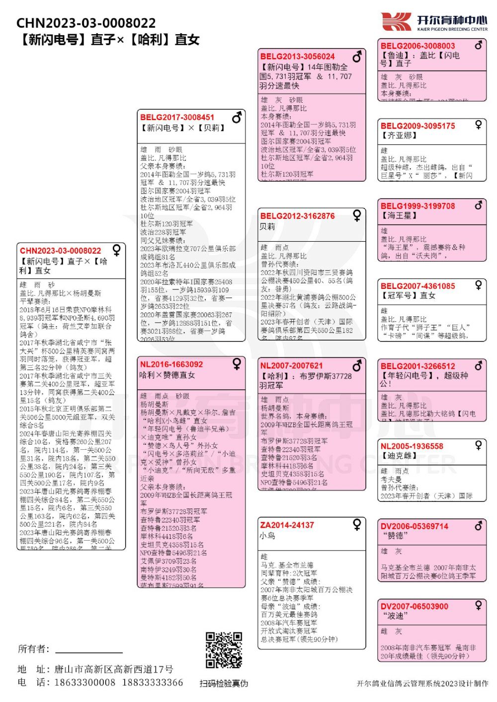 信鸽在线拍卖平台 - 中国信鸽信息网