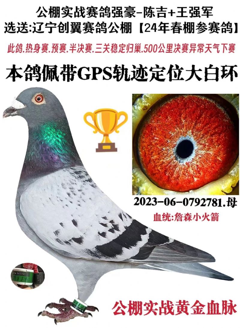 汇金信鸽传媒 - 中信网铭鸽展厅