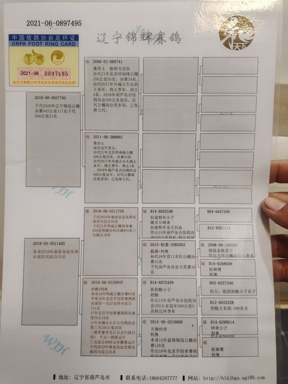 当前位置>在线拍鸽首页>拍鸽专题>查看商品1000_1333竖版 竖屏
