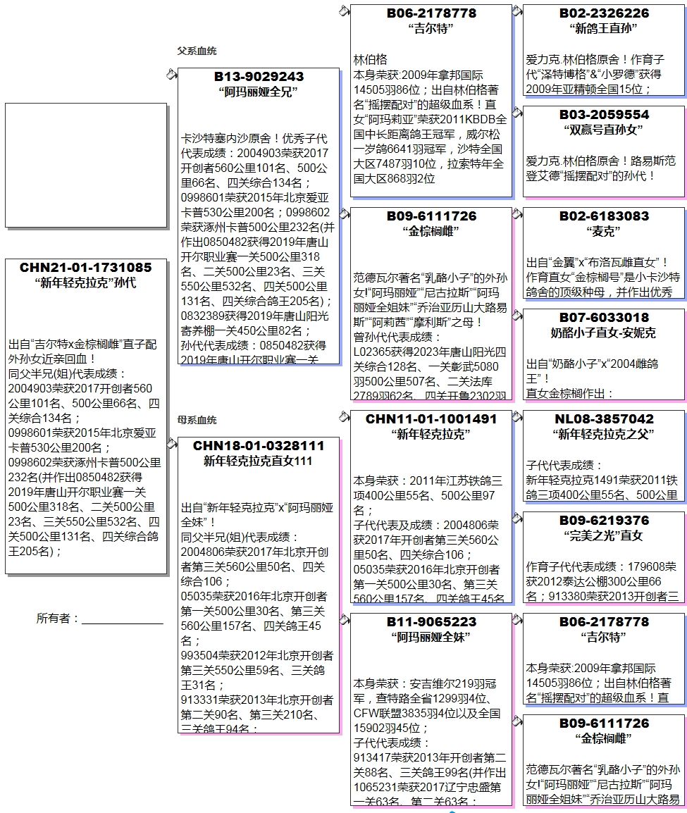 长城鸽业 - 中信网铭鸽展厅